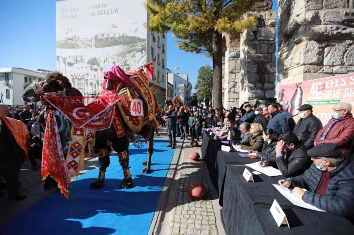 40. Uluslararası Efes Selçuk Deve Güreşleri Festivali başladı
