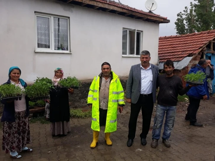 Akdağmadeni’nde doludan etkilenen köylere 10 bin adet sebze fidesi dağıtıldı
