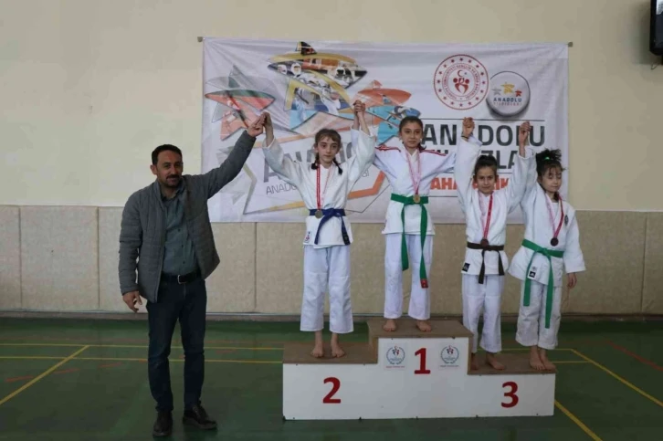 ANALİG Judo yarı final müsabakaları Erzincan’da yapıldı
