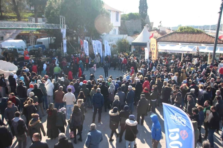 Bodrum’da 2,5 ton hamsi dağıtıldı, metrelerce kuyruk oluştu
