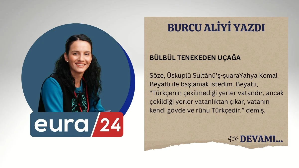 BÜLBÜL TENEKEDEN UÇAĞA