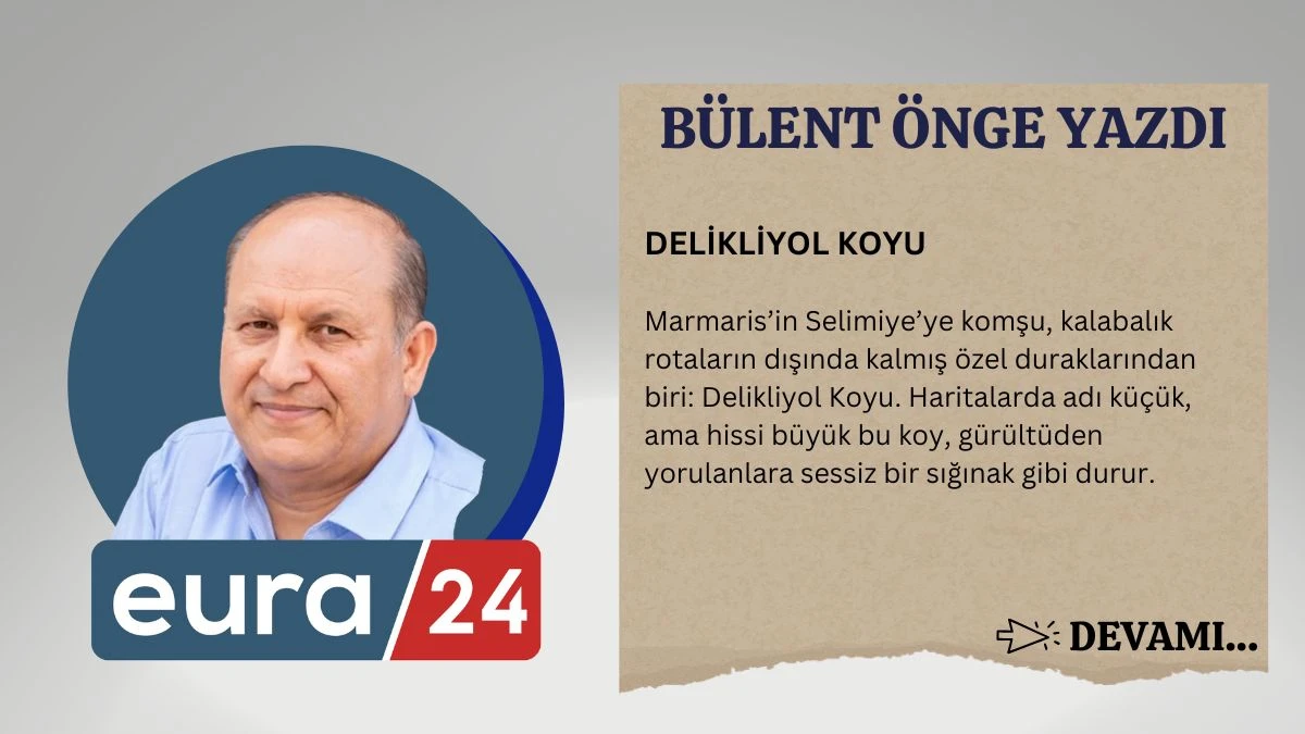 DELİKLİYOL KOYU