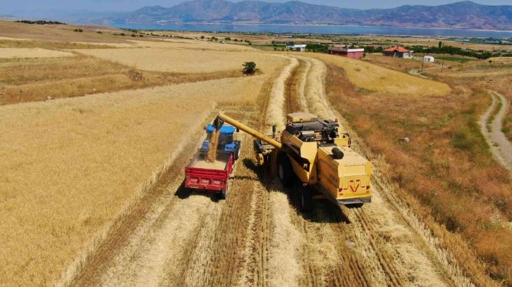 Elazığ’da yılın ilk arpa hasadı gerçekleştirildi
