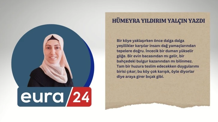 G&ouml;mleğin S&ouml;k&uuml;ğ&uuml;