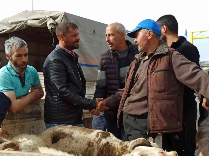 Kurban Bayramı’nın yaklaşması ile küçükbaş hayvan pazarında hareketlilik başladı
