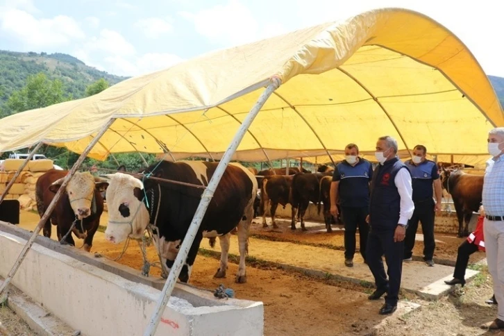 Kurbanlık hayvan alış, satış ve kesimlerinde dikkat edilecek hususlar
