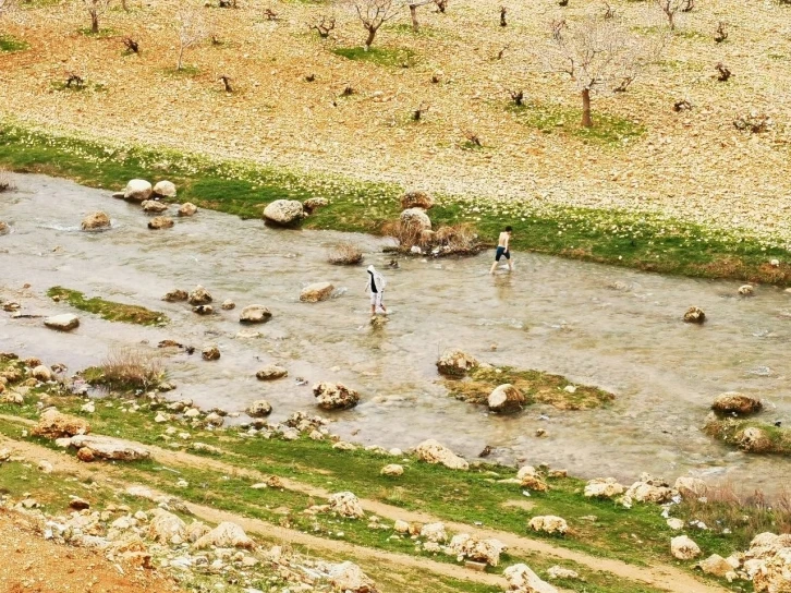 Mardin’de çocuklar soğuk havada derede yüzdü
