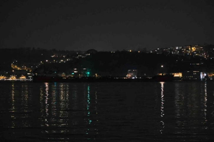 Rusya’dan ayçiçek yağı taşıyan gemi İstanbul’a ulaştı
