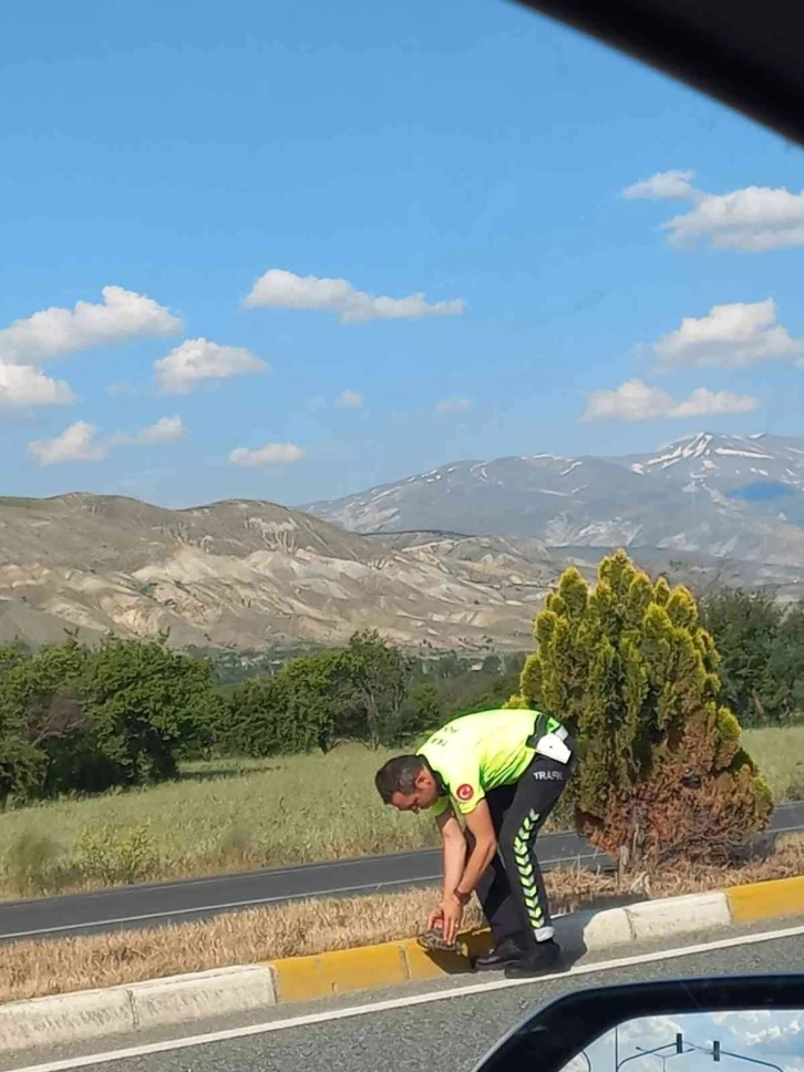 Trafik polisinden kaplumbağaya yardım eli
