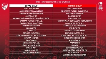 24 Erzincanspor Beyaz Grup’ta mücadele edecek
