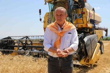 Başkan Atabay ilk buğday hasadını yaptı
