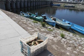Beyşehir Gölü’nde su ürünleri av yasağı sona erdi
