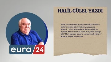 Bir Şiir Bir Hatıra / Alamadım Ben De