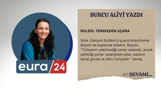 BÜLBÜL TENEKEDEN UÇAĞA