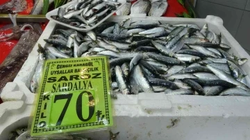 Çanakkale’de balık tezgahlarında fiyatlar arttı
