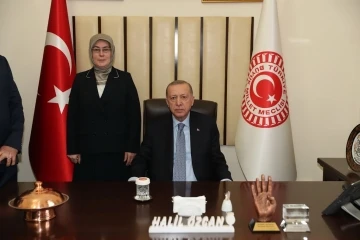 Cumhurbaşkanı Erdoğan, bürokrasiye takılan 500 milyon dolarlık yatırımın önünü açtı
