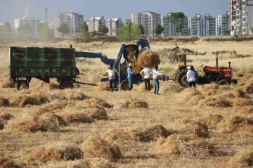 Diyarbakır’da milyonluk siteler arasında ‘imece’ usulü hasat
