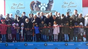 Diyarbakır ve çevresinde bulunan sokak hayvanları için 5 yıldızlı yuva açıldı
