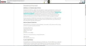 Godaddy’in gasp ettiği internet alan adlarını açık artırmayla satışa çıkardığı iddia edildi
