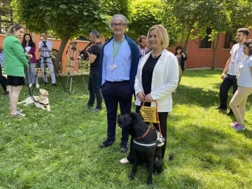 Görme engellilerin yol arkadaşı “rehber köpekler”
