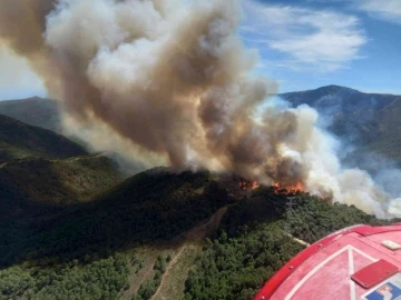 İspanya’da orman yangını: 3 yaralı
