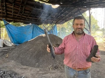 İstanbul’un mangal kömür ihtiyacı Şile’den karşılanıyor
