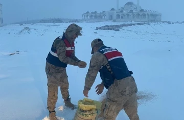 Jandarma hayvanlar için doğaya yem bıraktı
