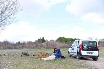 Kahramankazan Belediyesi can dostlarının mama ve sularını eksik etmiyor
