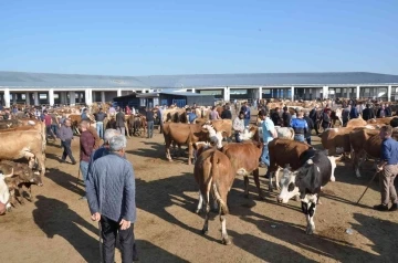 Kars’ta kurbanlıklar satışa çıktı
