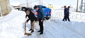 Kaymakam ve Belediye Başkanı sokak hayvanları için doğaya yem bıraktı
