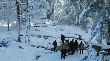 Kazdağları’nda yaban hayvanları için doğaya yem bırakıldı
