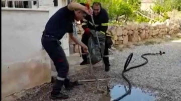 Kırıkkale’de 2 metrelik yılan paniği
