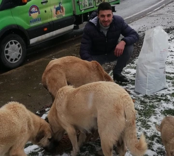 Körfez’de sokak hayvanları için mama bırakıldı
