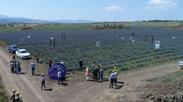 ’Kulavanta’ projesi Kula turizminin yeni yüzü olacak
