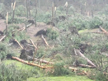 Kütahya’da hortum paniği: 80’e yakın ağaç devrildi
