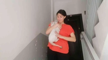 Lise öğrencisi, kedisi Duman’a kavuşunca sevinçten ağladı
