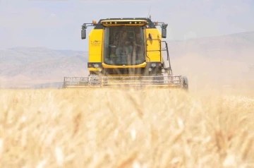 Mardin’de sulu tarım arazilerinde buğday rekoltesi sevindiriyor

