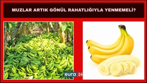 Muz Piyasasında Dev Şirketlerin H&acirc;kimiyeti Rahatsızlık Veriyor!