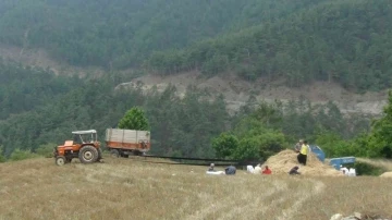 Orakla biçiyor, patozla harman çekiyorlar
