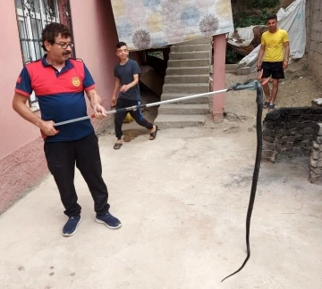 Osmaniye’de eve giren yılanı itfaiye yakaladı
