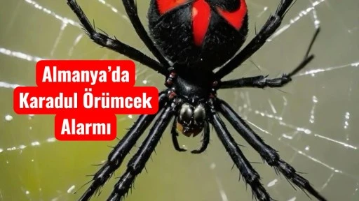Pencerelerinizi Kapatmayı Unutmayın!