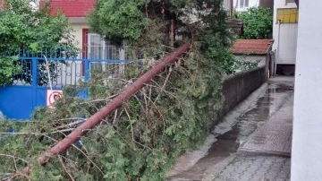 Şiddetli rüzgar ağaçları devirdi, elektrik tellerini kopardı
