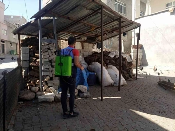 Siirt belediyesinden dezenfekte ve ilaçlama çalışmaları
