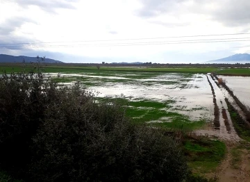 Söke’de yağışlar yaklaşık 2 bin 500 dönüm araziyi sular altında bıraktı
