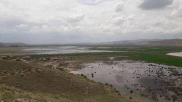 Sungurlu’da tarım arazileri sular altında kaldı
