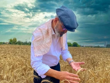 Tarsus’ta belediye arazilerine ekilen buğdaylar hasat edildi
