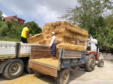 Tarsus’ta üreticilere ücretsiz saman dağıtıldı
