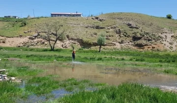 Tatvan’da ilaçlama ekipleri iş başında
