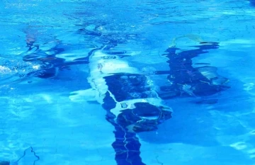 Tayvanlı öğrenciler insan gücüyle çalışan denizaltı üretti
