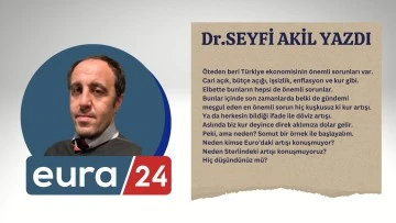 TL'nin Değer Kaybı Önlenebilir mi?